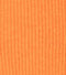 Orange Swatch