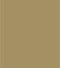 Khaki Swatch